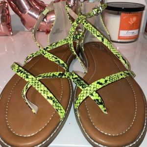 Mix No. 6 Neon Snake Print sandals